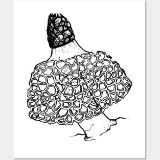 Bridal Veil Mushrooms Posters and Art